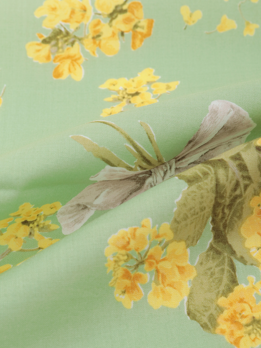 なのはなプリントストール 詳細画像 ミズイロ 6