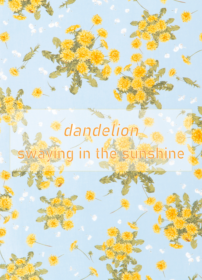 dandelion swaying in the sunshine